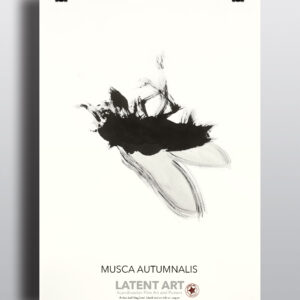 Musca Autumnalis poster
